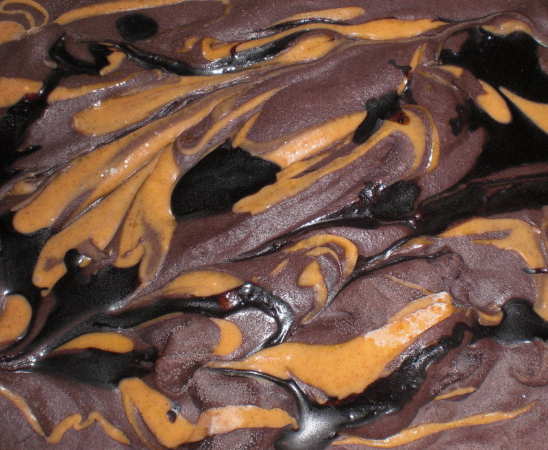 cashew-based peanut butter fudge vegan ice cream 1