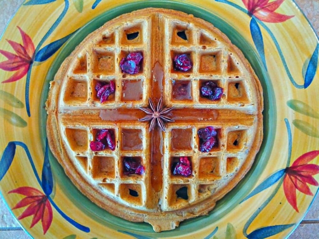 Sweet Anise Syrup on Naked Vegan Waffle with Dried Cranberries