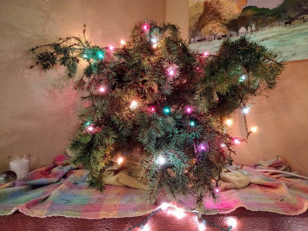 holiday yule tree that lit up our waffle party