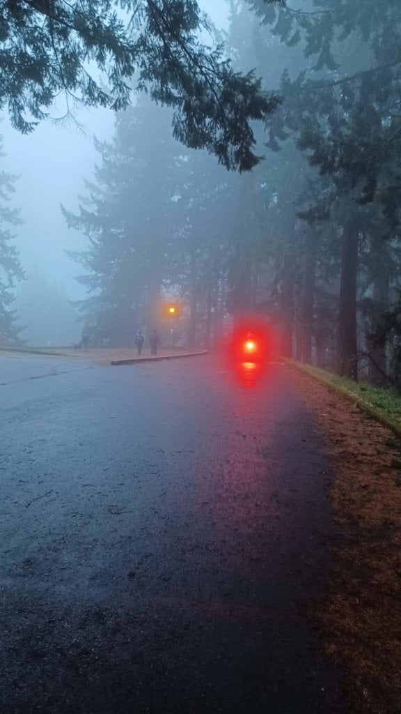 bicycle blinkie in foggy park